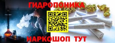 шишки Рыбинск