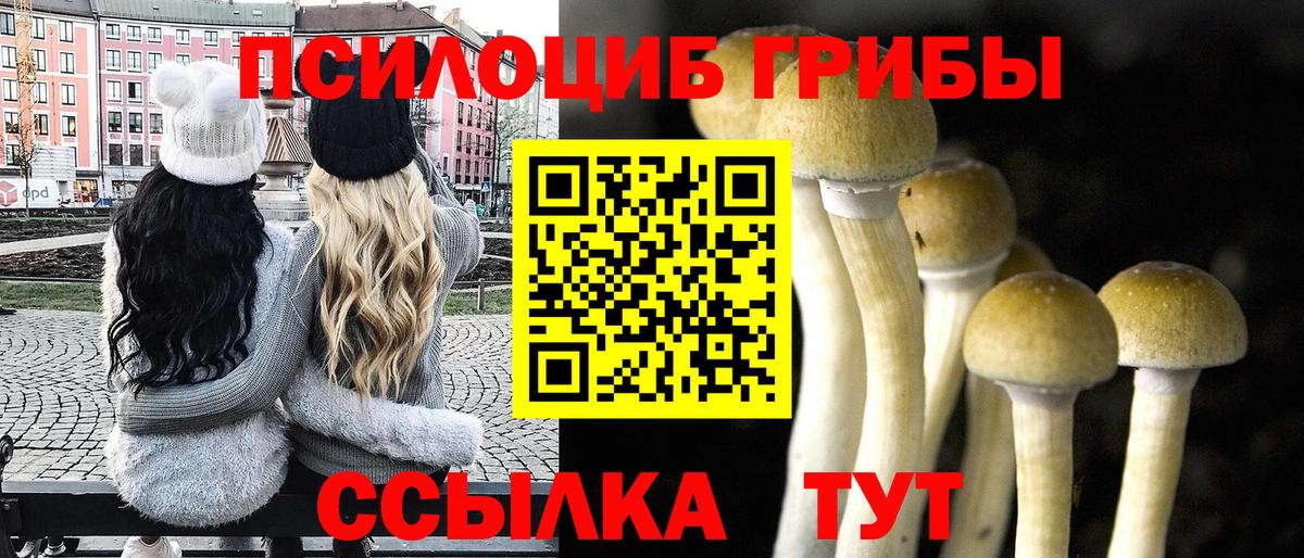 Псилоцибиновые грибы ЛСД  Псилоцибиновые грибы Psilocybe  даркнет сайт  Вход с VPN  Можга 